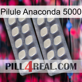 Anaconda 5000 Pill 07